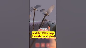 Did you know that in TEAM FORTRESS 2...