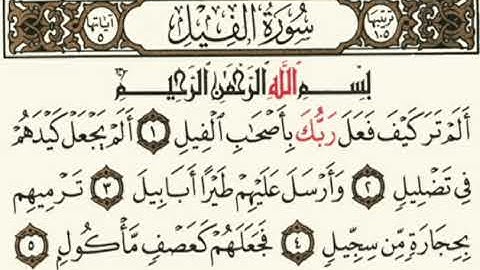 سورة الفيل بصوت جميل جدا | القارئ الصغير محمد امين