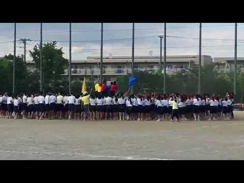 習志野7中体育祭応援