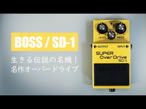 BOSS SD-1 Super OverDrive: In-Depth Review, Features & How to Use
