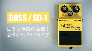 BOSS SD-1 Super OverDrive: In-Depth Review, Features & How to Use