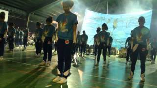 Cittadini Cheerdance 2014 Seniors