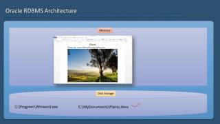 Oracle RDBMS Architecture Concepts Illustrated - 01 - Instance vs Database