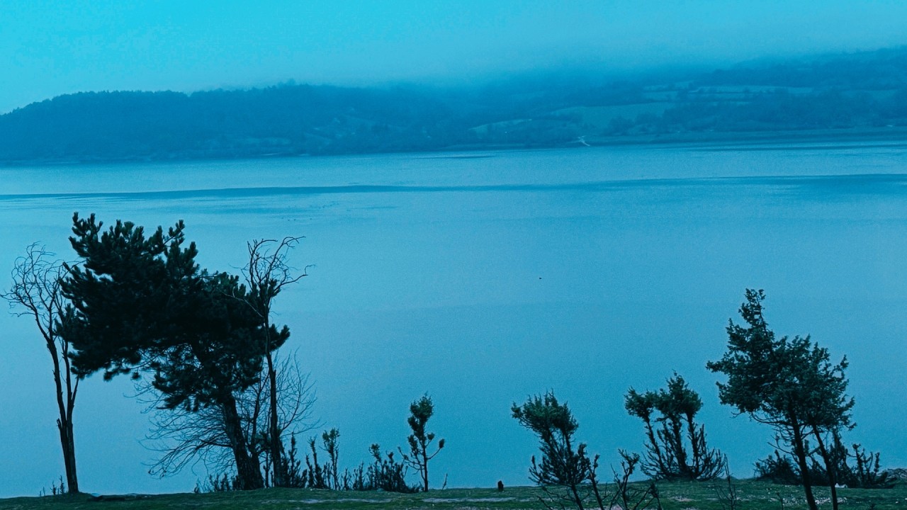 it's okey, calm your heart (playlist)