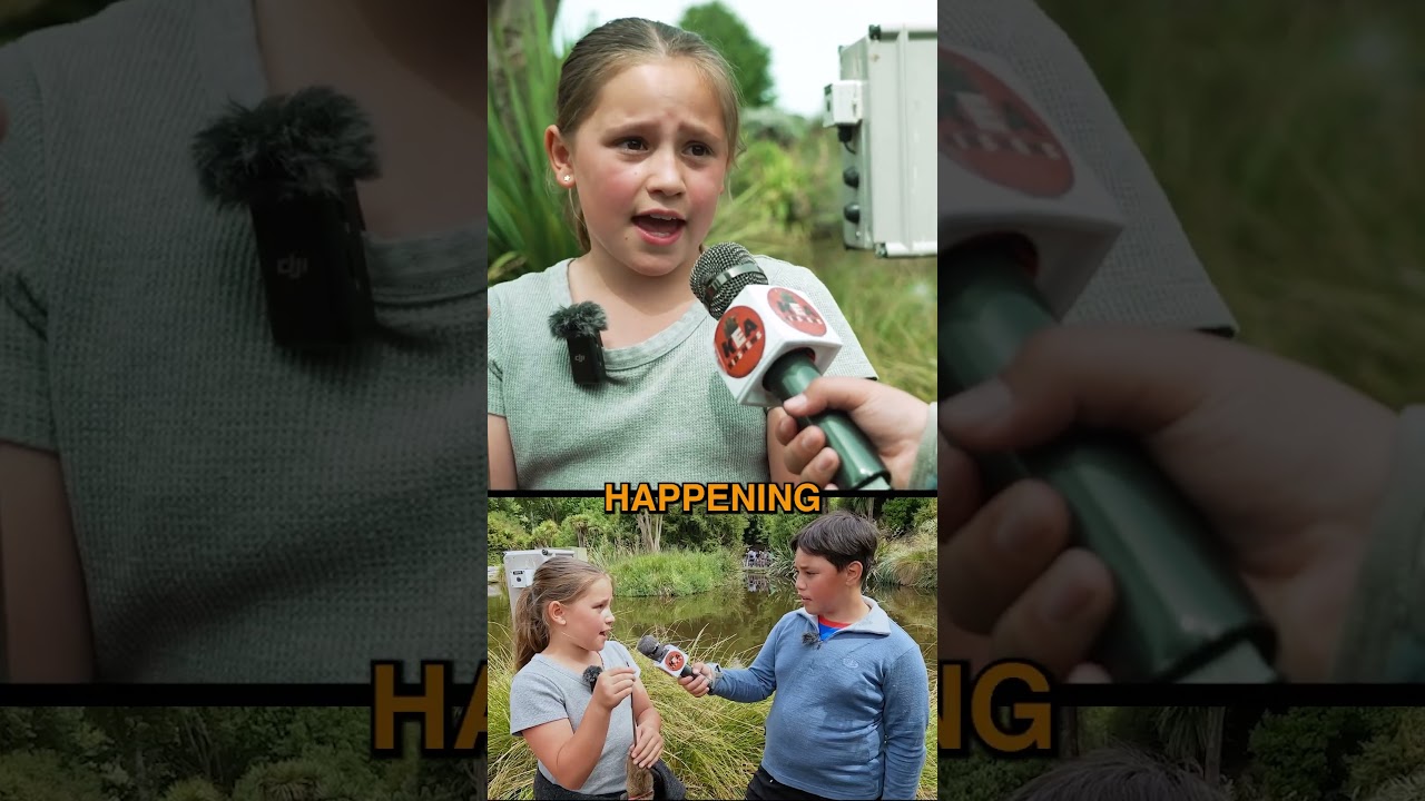 Trapping rats at Bellview Wetlands Reserve!