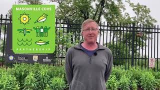 Five Minute Histories: Masonville Cove