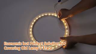 Vacuum Metallized Paper