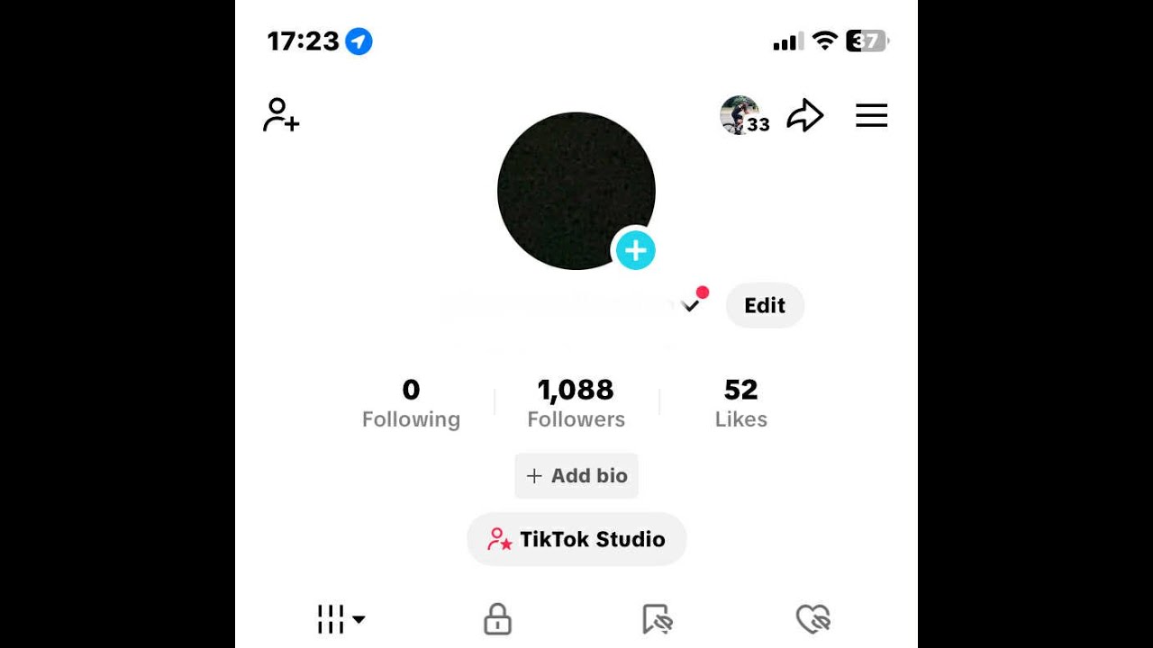Tiktok Following proof