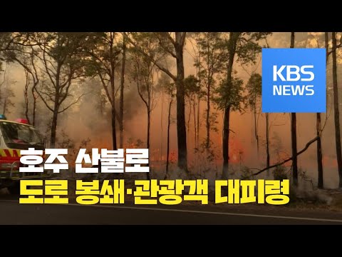 임산부비타민D부족