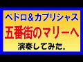 ★ペドロ&カプリシャス「五番街のマリーへ」ライブ(コピー)