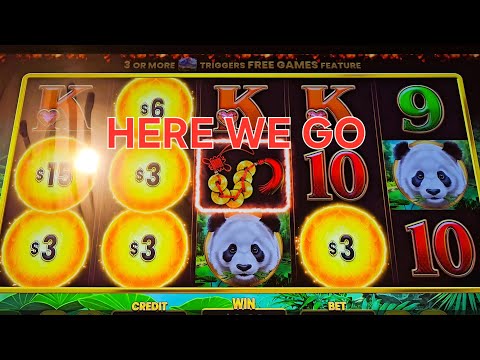 Wat is de Bonus Buy Feature?