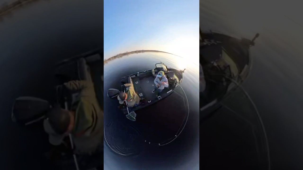 I should write a book… 