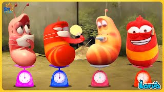 LARVA SEASON 1 EPISODE 248: 30 SHADES OF THE LARVA | CARTOON NEW VERSION | FUNNY CLIP 2025