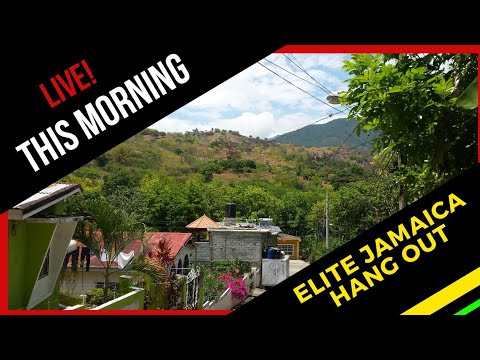 THIS MORNING LIVE!