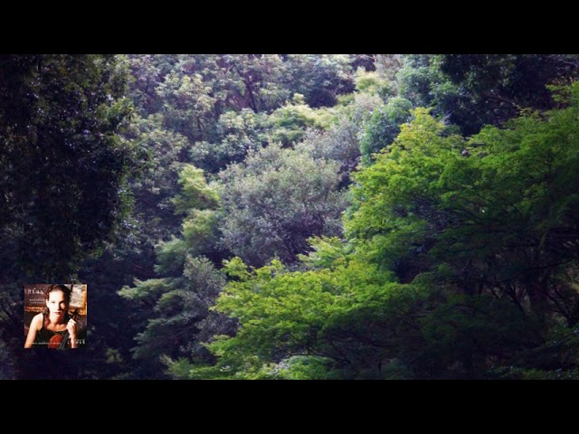 Beethoven : Concerto for Violin and Orchestra in D Major, Op.61