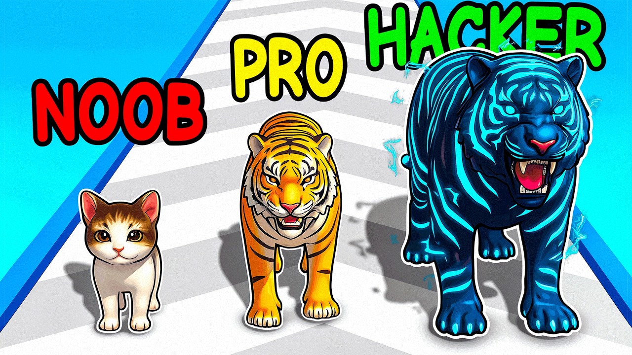 Evolving From NOOB to GOD Cat!