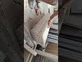 All rounder mistri  is live  triple molding step 🪜🪜#tiles #marbal #viralvideo #tilesworking