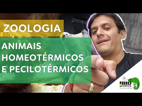 Animais Homeotérmicos e Pecilotérmicos