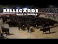 Bellegarde lcher 130 taureaux 06102023 