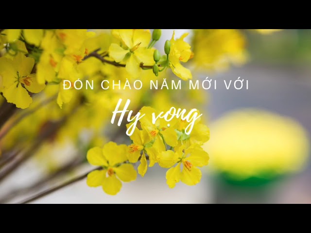Đón Chào Năm Mới Với Hy Vọng