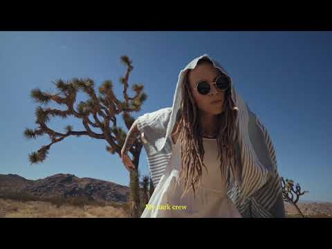 1487 - Joshua Tree Bird