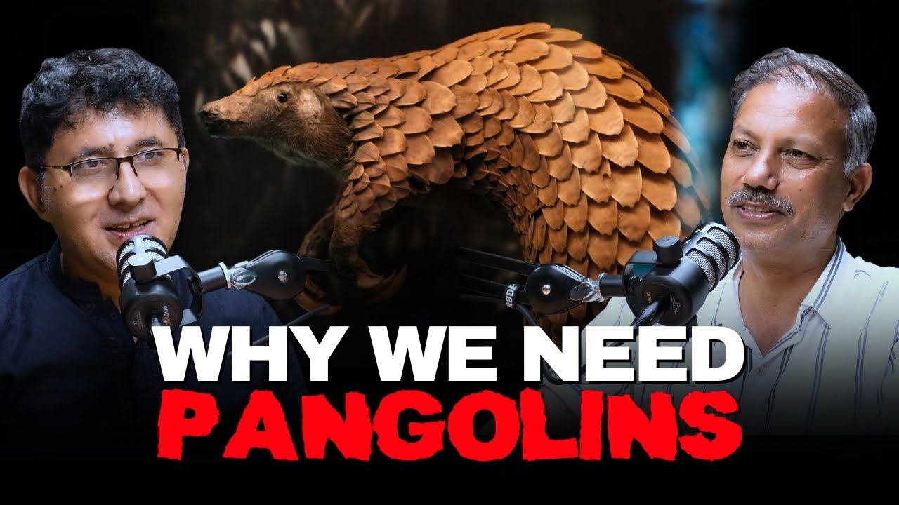 WWF — Saving the Pangolin