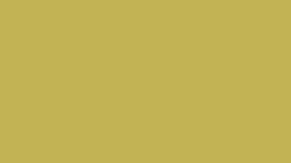 vegas gold solid color background