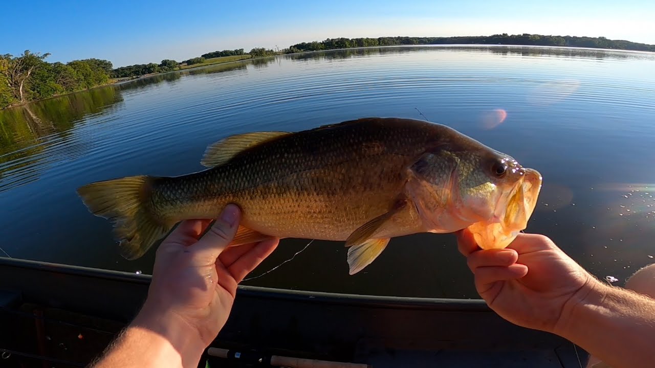 MN Largemouth Bass Fishing Clip