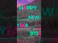 happy new year