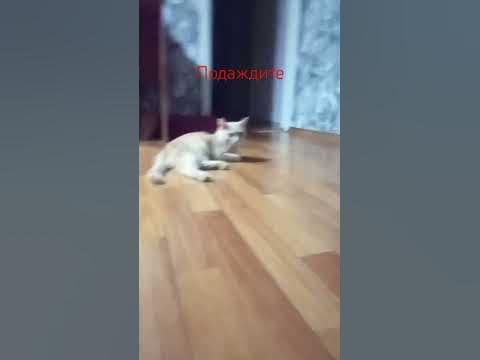 подождите у меня маленькая ножка - YouTube