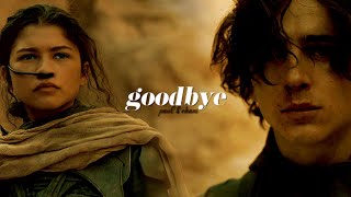 Paul & Chani | Goodbye