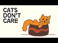 What cats teach us about happiness  a cats philosophy