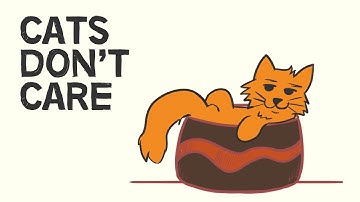 What Cats Teach Us About Happiness | A Cat