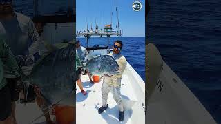 Giant Trevally with Great Vision 🎣💀 Feeding Water and Release 🐟