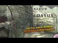 SHADOW OF THE COLOSSUS - Apreciem um bom entretenimento #4
