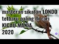 Suara Masteran Sikatan Londo Gacor Paling Di Cari Kicau Mania Mp3 - Mp4 Download