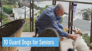 10 Guard Dog Breeds for Seniors by Welfare Of Dogs 436 views 5 months ago 9 minutes, 19 seconds