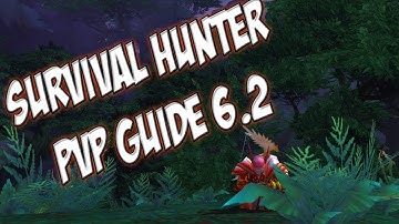 Ravenclaw - WoW  6.2 Beginner Survival hunter pvp guide