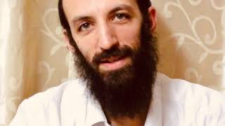 Menahot 105 R. E. Abib Daf Hayomi Français Dafhayomi.fr