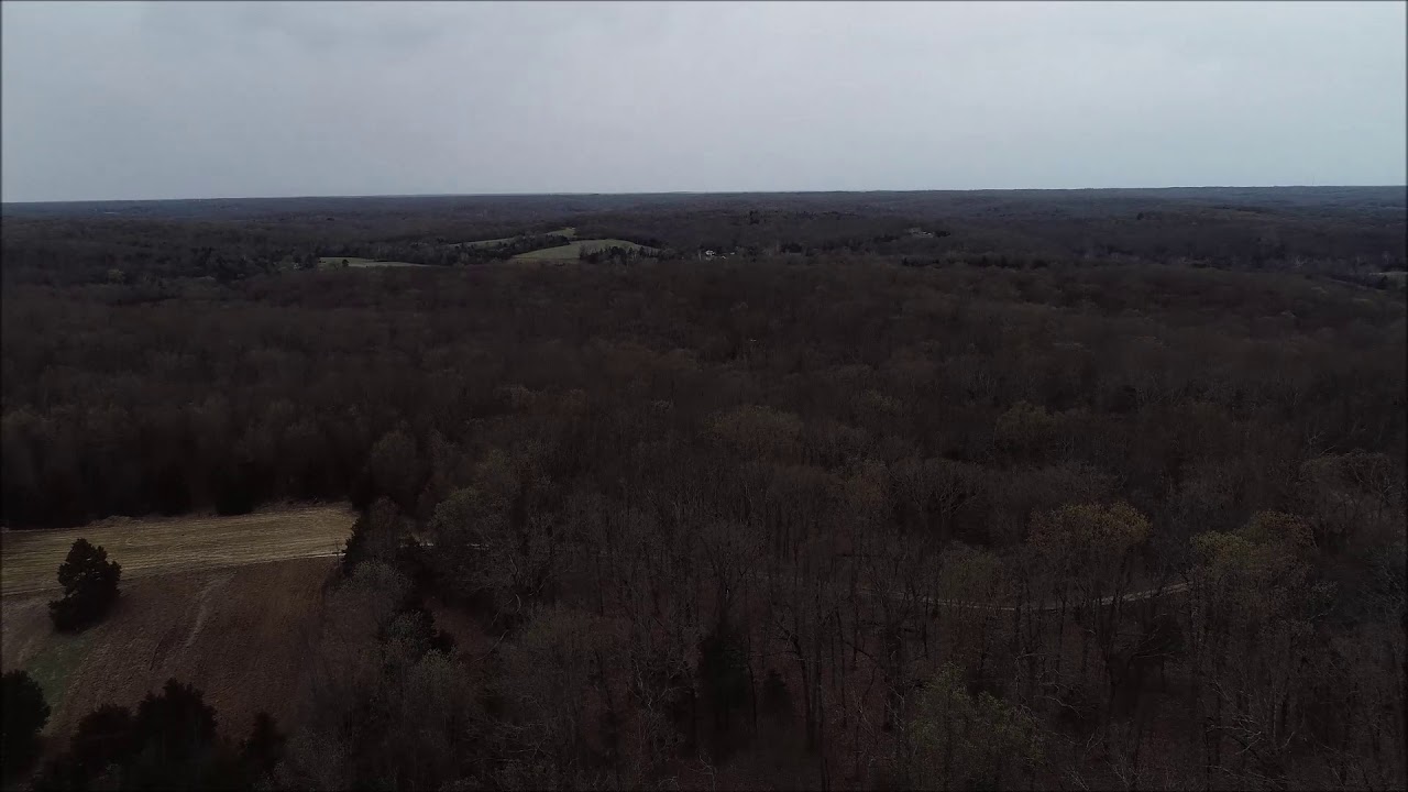 124 Acres of Exceptional Whitetail Deer and Turkey Hunting For Sale