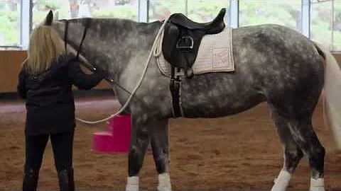 THE ROAD TO CONFIDENT RIDING WITH SANDI & DAVID SI...