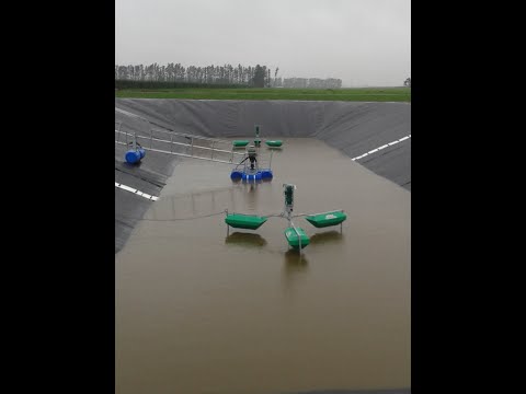Effluent Ponds