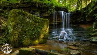 Beautiful Relaxing Music - Stop Overthinking, Stress Relief   HGEDD59020A1CC544F2F9903A9E546533F4C screenshot 4