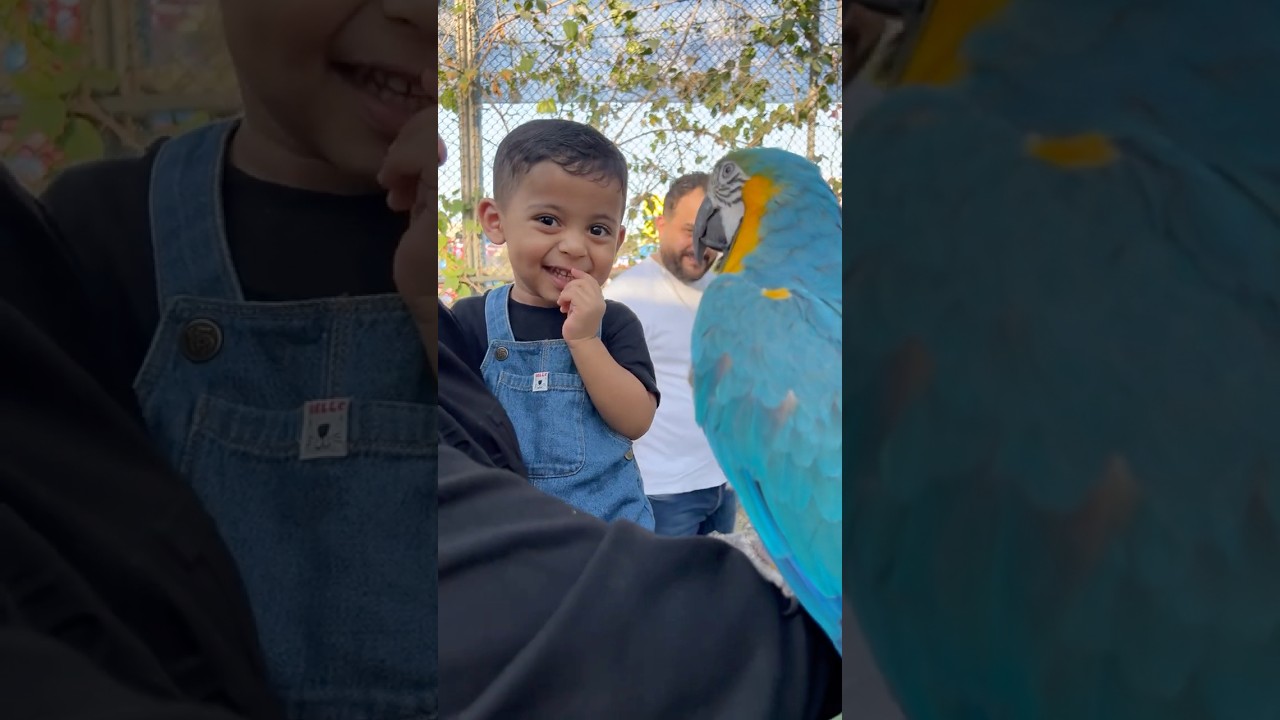 Friendly Bird at the Zoo 