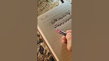 سورة الإسراء أبو العينين شعيشع .. #قرآن