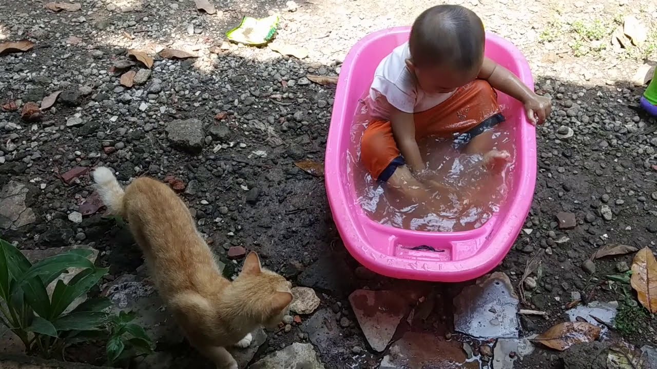 Gembira Bermain Ikan Emas dibak mandi - YouTube