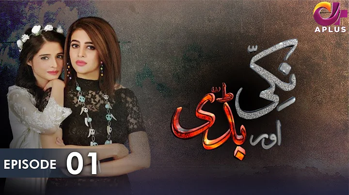 Pakistani Drama | Nikki & Buddy - Episode 01 | Bushra Khan, Nobia Mansoor