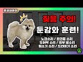 강아지 훈련용 소리 모음 둔감화 훈련모음 강아지 훈련용 소리 모음 둔감화 훈련모음