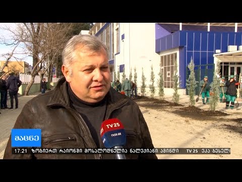 გამწვანების აქცია ანგისის საფეხბურთო საწვრთნელი ბაზაზე