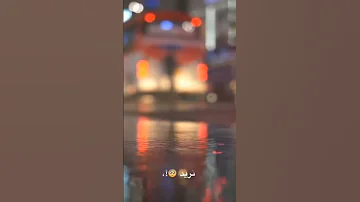 ساقبل يا خلق من جديد 